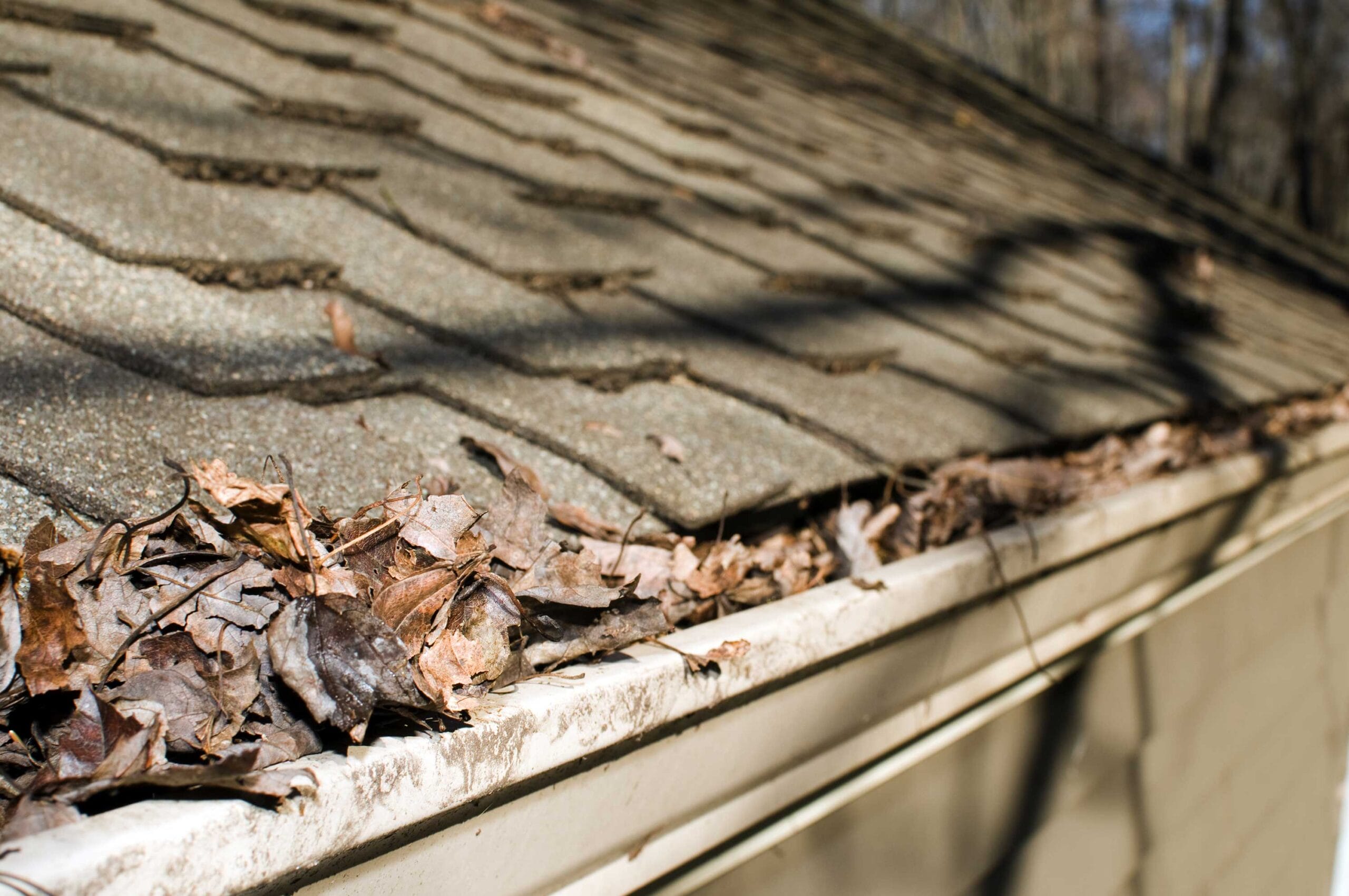when to replace gutters, gutter damage signs, St Louis